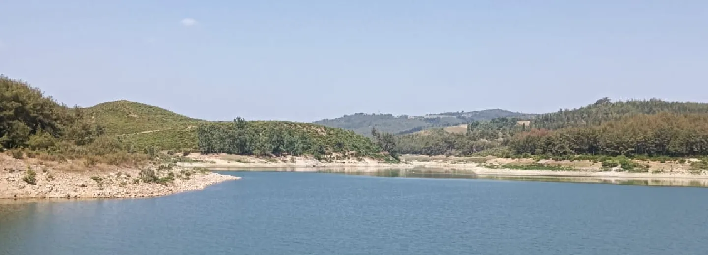 AO Publishing ekibi ve çalışma ortamı